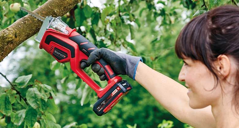 a woman cuts a branch with a branch saw