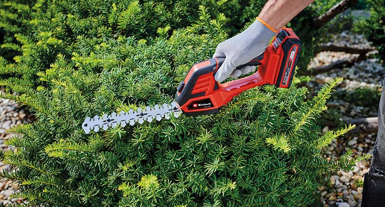 a shrub is cut with grass shears